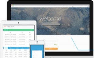 專業(yè)直銷軟件開發(fā)團(tuán)隊(duì) 構(gòu)建高效、可靠的直銷系統(tǒng)與平臺軟件