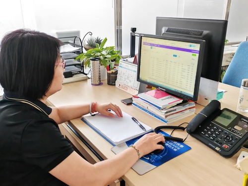 順義區(qū)為高校畢業(yè)生提供無(wú)縫銜接式就業(yè)服務(wù)，計(jì)算機(jī)信息技術(shù)咨詢助力精準(zhǔn)就業(yè)