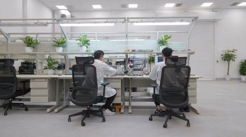 全年近50萬(wàn)輛 上海超級(jí)工廠(chǎng)如何為特斯拉全球交付量貢獻(xiàn)半壁江山